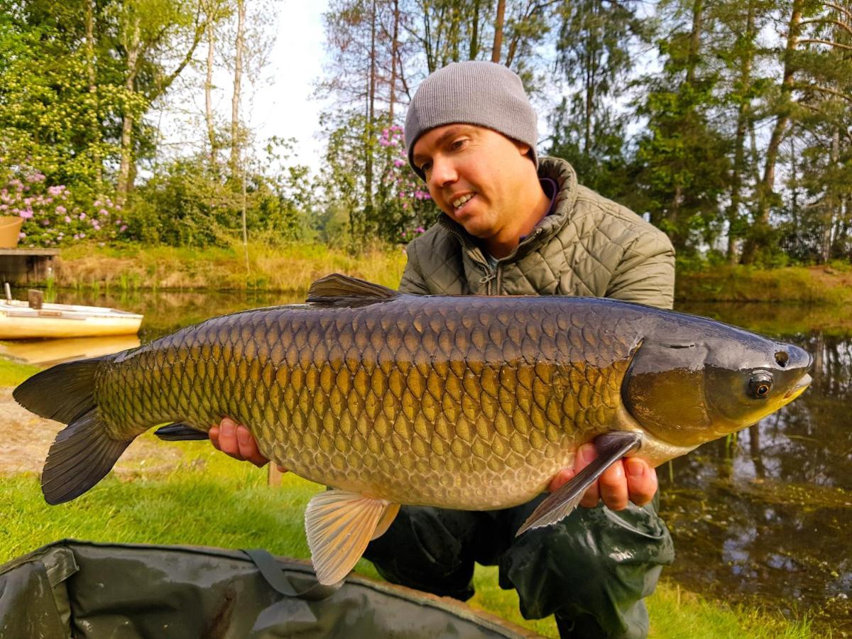 Kromven Merksplas Luaran gambar
