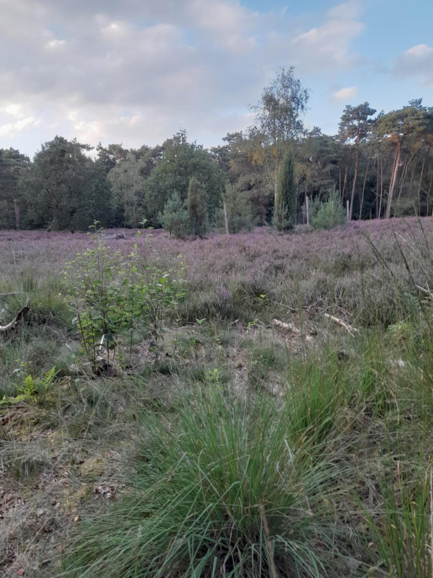 Kromven Merksplas Luaran gambar